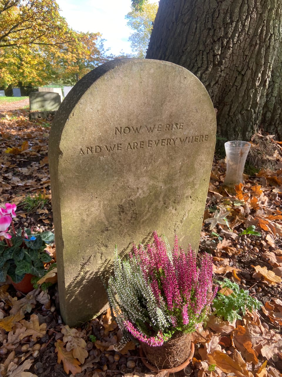 Cowper’s Cut 400: When is a choice not a choice? When it’s another vintage week for Team Milburn-Streeting