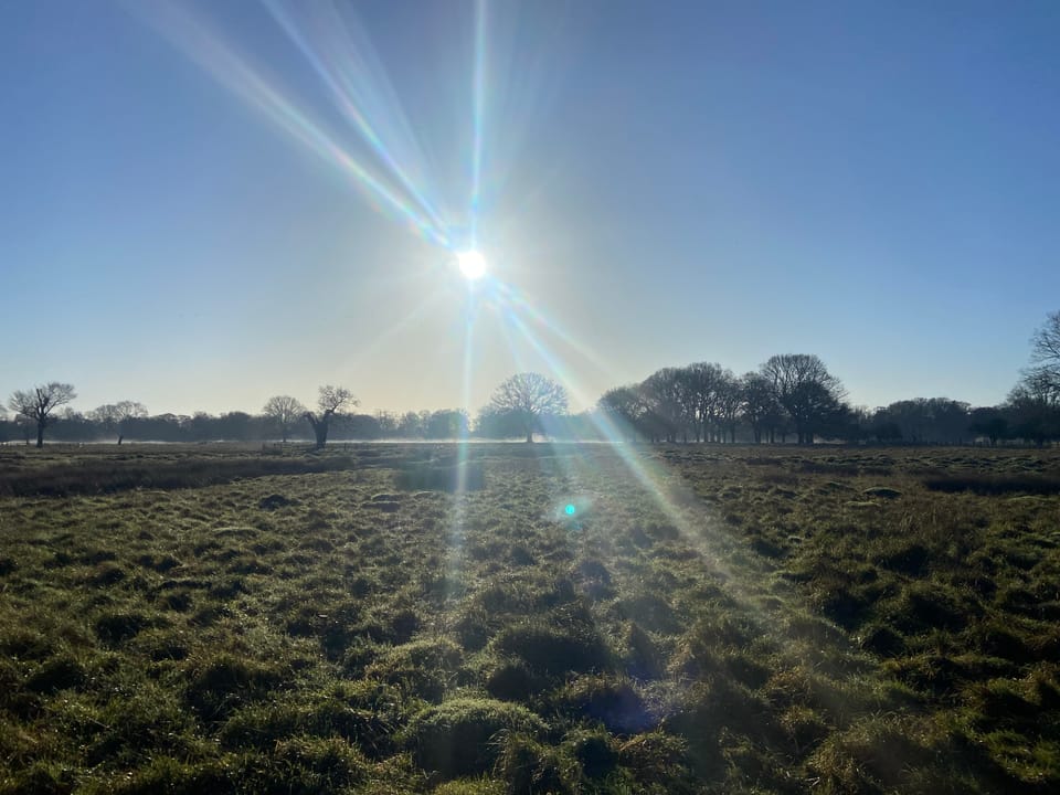 Cowper’s Cut 406: Short selling