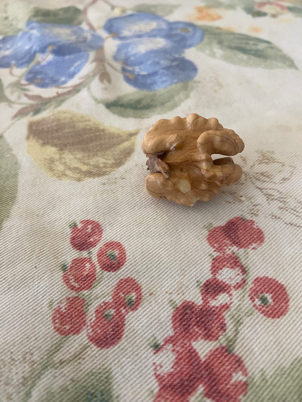 Cowper’s Cut 410: The age of miracles